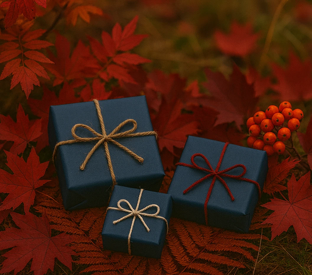 Ноябрьский  дайджест впечатлений