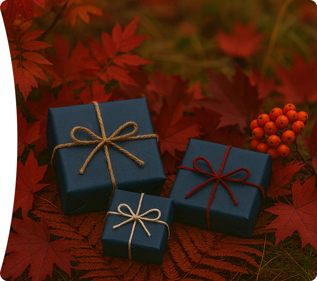 Ноябрьский  дайджест впечатлений