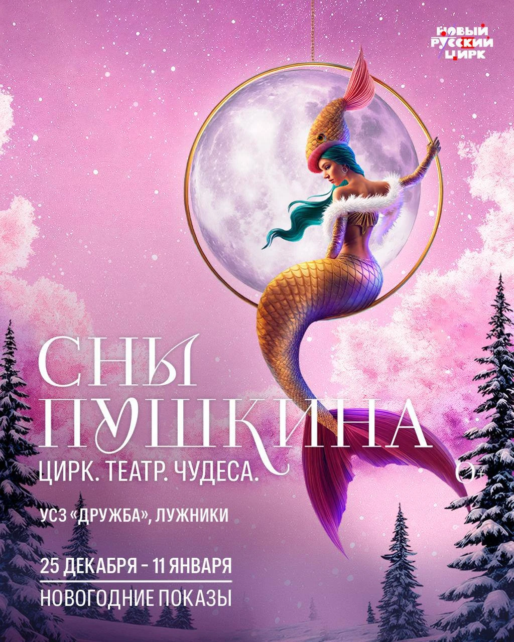 Сны Пушкина 17 Сны Пушкина