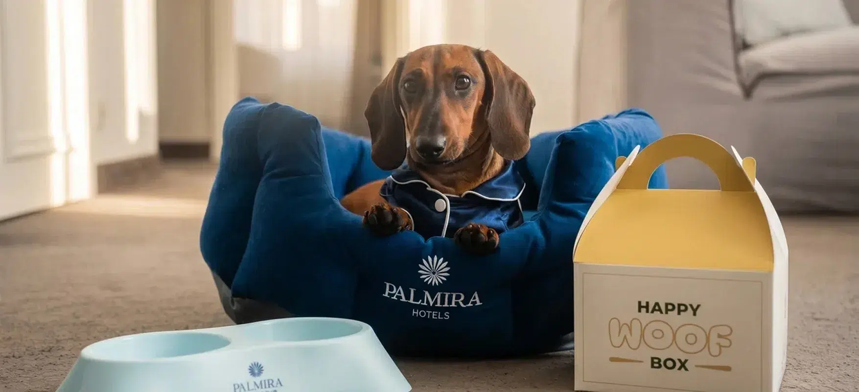 Отдыхайте в Москве вместе с питомцем в Palmira Business Club 30 Фотогалерея — кадр 5